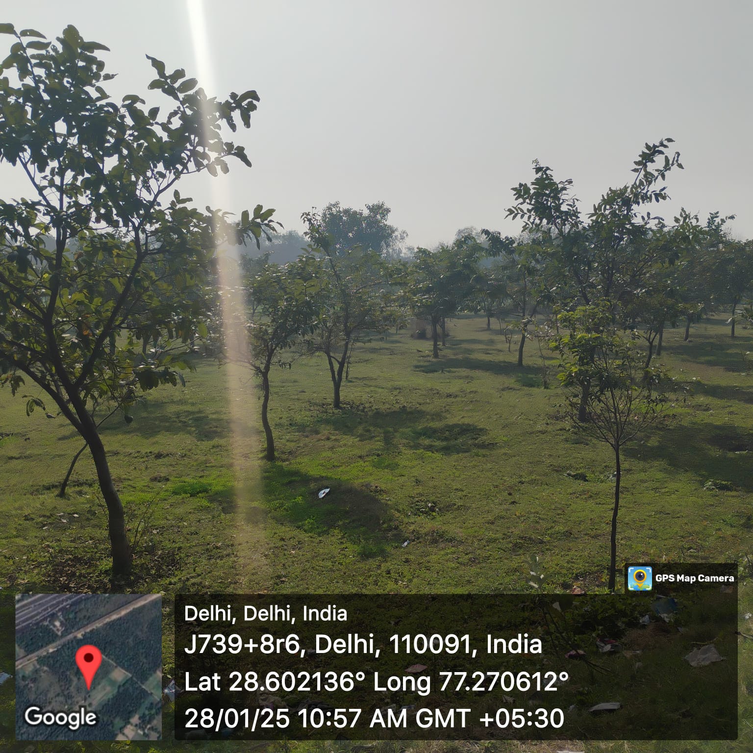Compensatory Afforestation